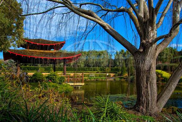 Oriental Garden, Hunter Valley, NSW